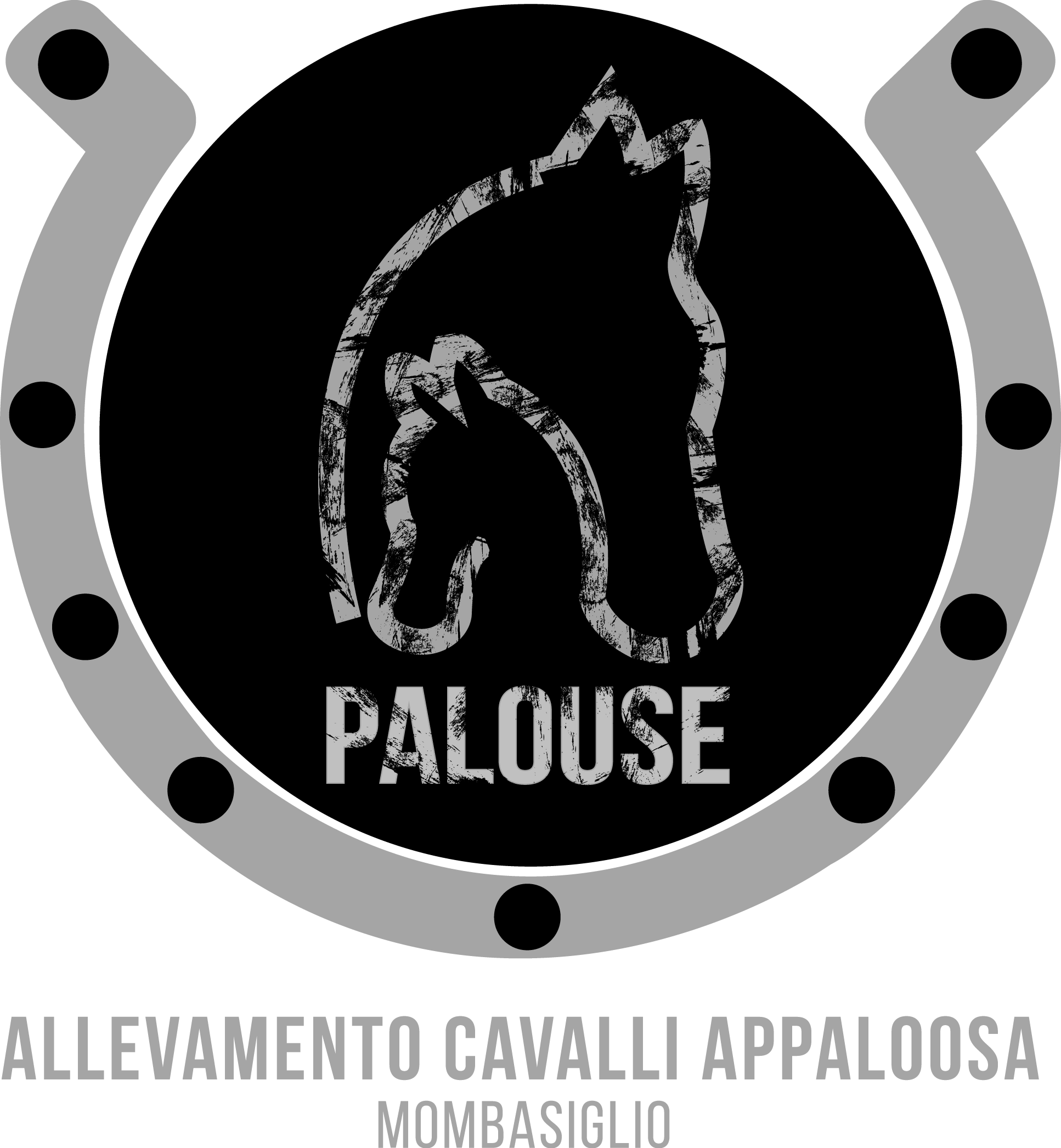 Allevamento cavalli Appaloosa